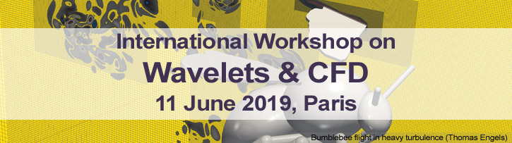 International Workshop on Wavelets & CFD - 11 June 2019