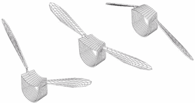 Modèle cinématique de thorax avec ailes battantes