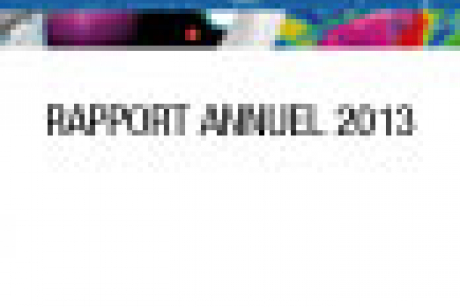 Rapport Annuel 2013 on-line