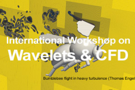 International Workshop on Wavelets &amp; CFD