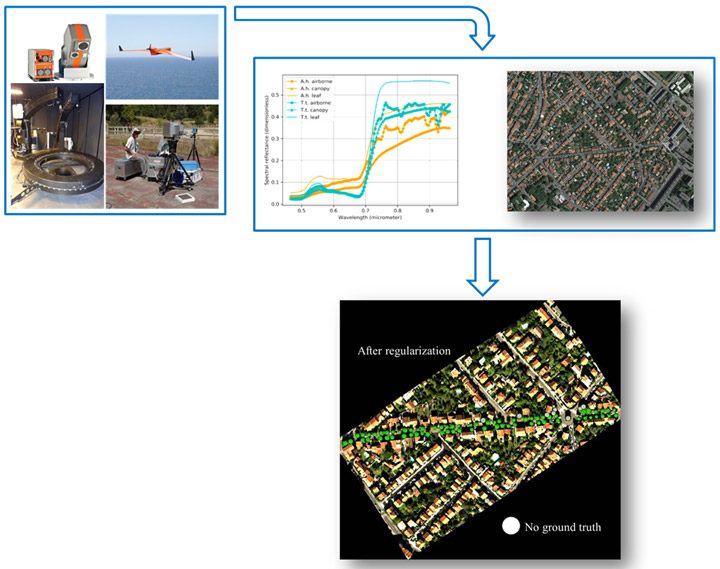 Cartographie automatique d'espèces d'arbres en zone urbaine basée sur des données de télédétection multi-sources
