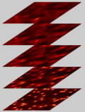 A gauche une représentation 3D de la rétine, du fond de l'oeil [bas] au cristallin [haut], avec les photorécepteurs, les cellules ganglionnaires et les vaisseaux sanguins. Au milieu, après acquisition, les images corrigées par optique adaptative. A droite, après déconvolution, le résultat final exploitable par les médecins. 