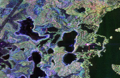 La deuxième campagne de Sethi en Suède avait pour objet la mesure en bande P2 de la biomasse. L'équipe de l'Onera a ainsi effectué pour le compte de l'Esa un vol d'acquisition sur le site test de Remingstorp,  - une étape de la préparation du projet de satellite Biomass, actuellement en phase de sélection. Après Tropisar qui se concentrait sur les forêts tropicales, l'équipe de Sethi a donc analysé une forêt boréale. Les résultats et les images ont pu être comparées à celles acquises lors d'autres campagnes financées par l'Esa.