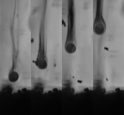 Evolution d’une particule d’aluminium en combustion quittant la surface d’un propergol solide sur quatre images prises à 1 ms d’intervalle. 