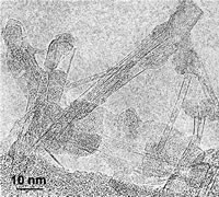 Image en microscopie électronique de haute résolution d'un nanotube multifeuillet de nitrure de bore (à gauche) et d'un ensemble de nanotubes monofeuillet de nitrure de bore (à droite)